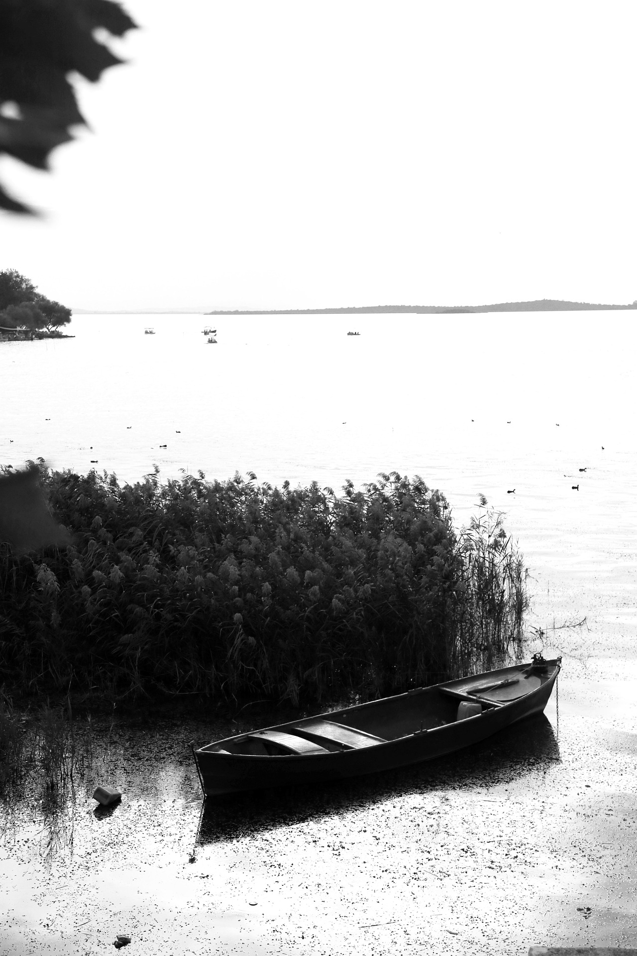sahinsezerdincer-coast-4954061_1920